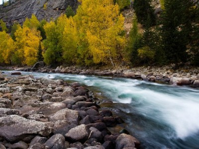 微信支付限额想用花呗？这些间接方法需注意合规风险