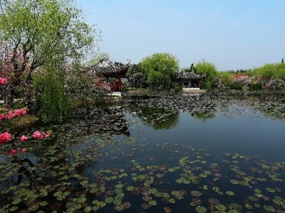 花呗24期分期看不到？这些原因和解决方法你需要知道