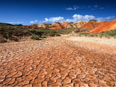 琼海白条提现需谨慎！正规平台“出财小神”教你安全周转