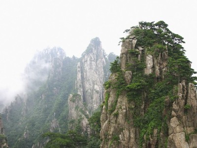 一张银行卡能关联几个花呗？支付宝规则+富信掌柜管理指南