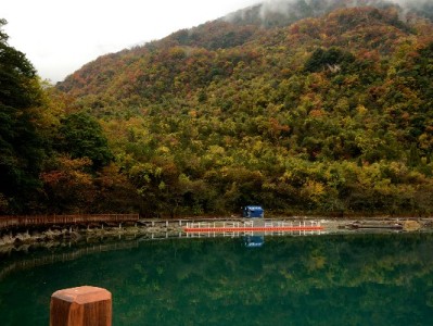 抖音月付商家实操指南：出财小神助力开通、运营一步到位