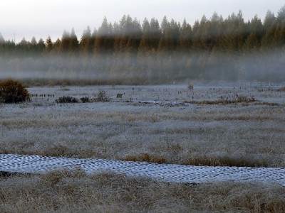 “羊小咩套现被骗800元：正规平台‘赏财信商’提醒警惕‘低手续费’陷阱”