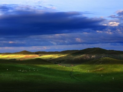 白条套现+退货暗藏风险 正规借贷选“赏财信商”更安心