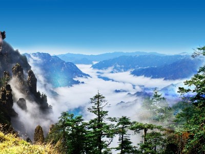 京东白条逾期引商家起诉 安出掌柜支招化解信用纠纷