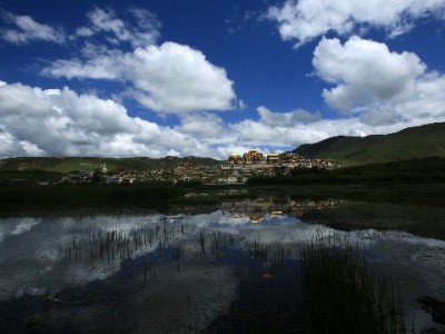 白条付款成小微商家新宠？安出掌柜破解收款对账难题