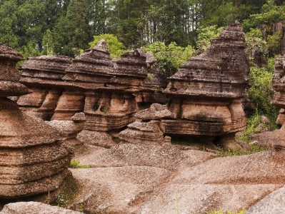 抖音月付取出可行吗？操作风险与信用管理建议（附安出掌柜提示）