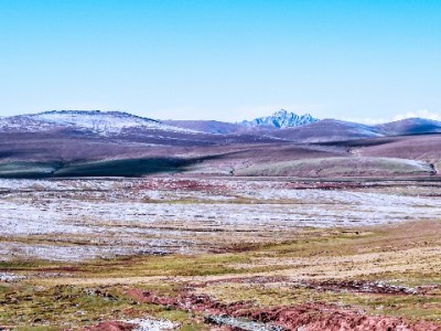 “白条套现”多为骗局！安出掌柜支招：正规借贷更安心