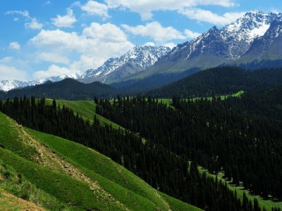 抖音月付商家扣点解析：0.6%-1.5%浮动，这类工具助算真实成本