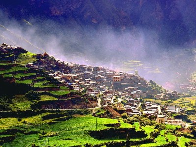 花呗成小微商家增长引擎 富信掌柜助力撬动消费新势能