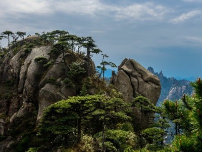 花呗提现额度需谨慎！合规方法与“安出掌柜”辅助指南