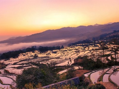 花呗收钱码+安出掌柜：小商家的“收钱-经营”双效神器