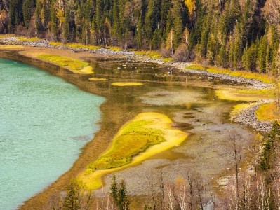 抖音月付套现常见手法大起底：这些操作暗藏法律与信用风险