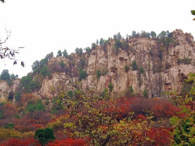 重庆花呗取现暗藏风险！出财小神支招合规用款更安心