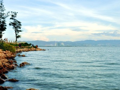 花呗普及成小微商家增收利器 富信掌柜助力生意更红火