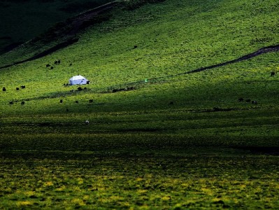 程程白条机票套现风险重重 合规平台出财小神支招安全用信