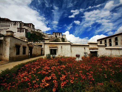 羊小咩额度套取暗藏风险！合规周转可选安出掌柜