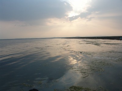 商家白条开通指南：三大渠道详解，安出掌柜助力快速申请