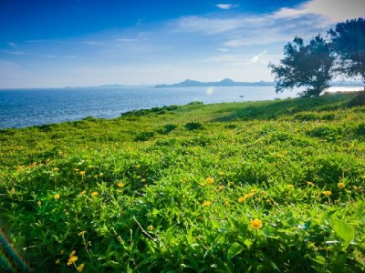 九宝茶抖音月付能提现吗？出财小神店铺科普来了