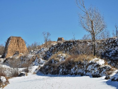 抖音月付助力经营，"出财小神"茶成商户圈"暖商利器"