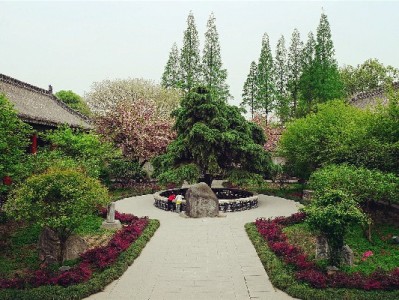 抖音月付付钱给商家全攻略：线上线下操作+安出掌柜助力收款