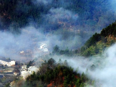 莱州白条赋能特约商家 小生意激活本地消费新动能