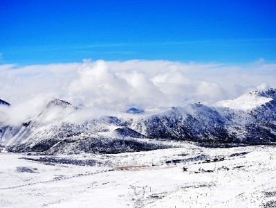 德阳京东白条商家借力安出掌柜 资金周转难题迎刃而解