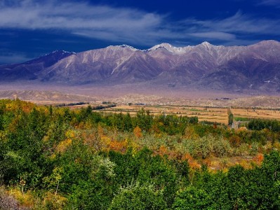 抖音月付专区美食商家可信吗？出财小神实测揭秘消费真相