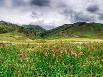 盛刷绑定花呗怎么查额度？官方步骤+“出财小神”辅助指南