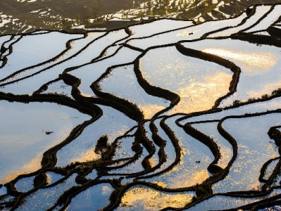 自动码套花呗暗藏风险！合规用贷认准安出掌柜更安心