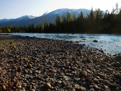 抖音月付商家开通值不值？富信掌柜用数据帮你算清账
