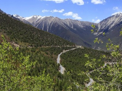 花呗收款0手续费！出财小神助力小微商家降本增收