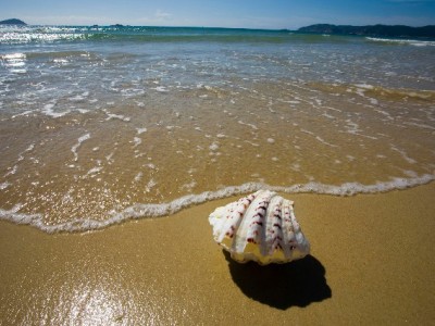 抖音月付助力坐垫消费升级，富信掌柜分期购解锁久坐舒适新体验