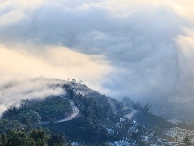 小微商家备货不用愁！安出掌柜"小白条"解短周期资金难题