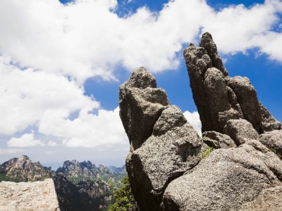 套花呗暗藏四大风险！正规平台安出掌柜提醒理性用贷