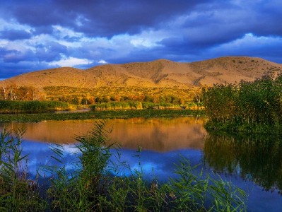 "羊小咩套现"变"被拉黑"！受害者自述：贪低手续费反被骗千元