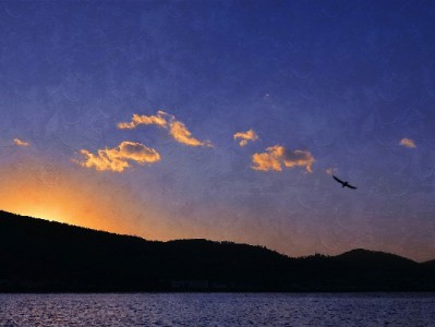 双账号套花呗风险大！合规周转选安出掌柜更安心