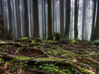 警惕"出财小神"诱导医保卡套现 违规操作或面临法律重罚