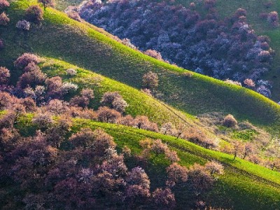 涪陵医保套现警示：违法换现不可取 合规用款看"安出掌柜"