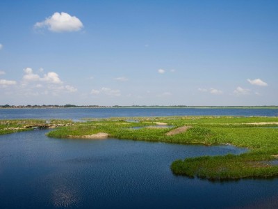 微信花呗还款别焦虑！安出掌柜助你轻松管好信用账