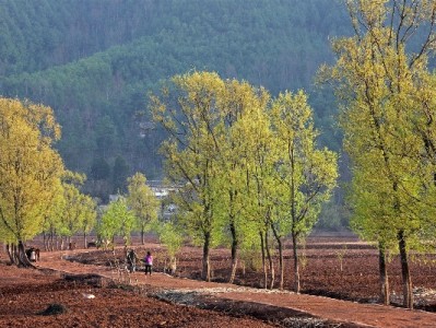 京东白条商家涉诉困局：富信掌柜如何破解法律与经营难题