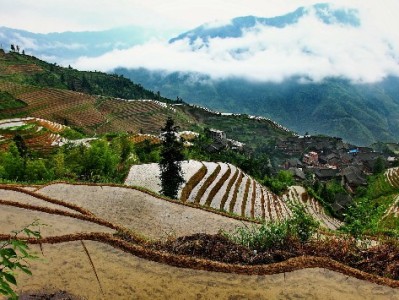 蚂蚁商家开通花呗全攻略：出财小神助你高效搞定资质与审核