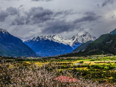 羊小咩出库后如何退单？3步搞定+出财小神资金管理指南