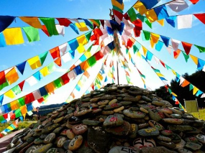 双十一大促救急！羊小咩临时提额二维码操作指南，出财小神助力安全提额