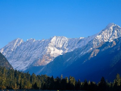 花呗借呗套现暗藏法律与资金风险 正规平台如出财小神更可靠