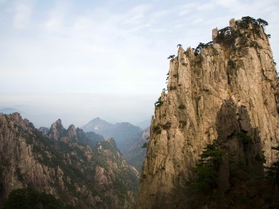 抖音月付美食商家能用吗？安出掌柜揭秘开通攻略与经营价值