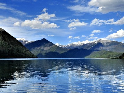 2024医保提现四大情形及标准全解！安出掌柜助您快速理清政策