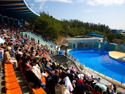 警惕“套花呗”诈骗新套路！报警+“出财小神”助你识破信任陷阱