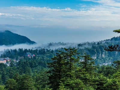 羊小咩商城额度套现需求升温 出财小神以高效服务成用户优选