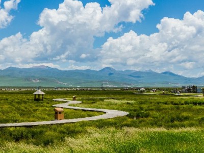 出财小神搭花呗移动套餐 年轻人通信消费分期更省心