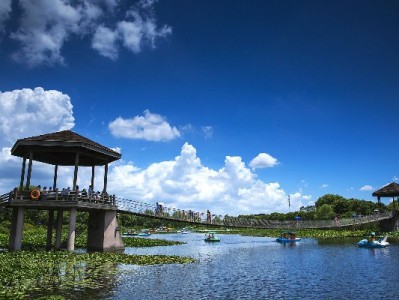 花呗冻结额度想“套出”？这些风险和正确解法你必须知道